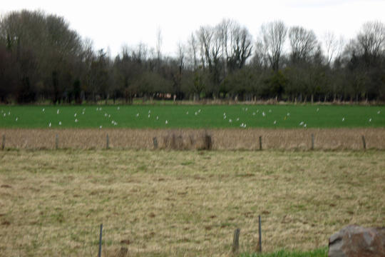 Rest Stop